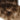 Close-up of glossy Black-Brown & Light Brown Caramel human hair strands, short root – Rubin Extensions®
