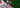 Traditional dirndl hairstyle combined with hair extensions – Rubin Extensions®