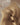 Strand detail of Light Blonde tape-in extensions, 100% human hair – Rubin Extensions®